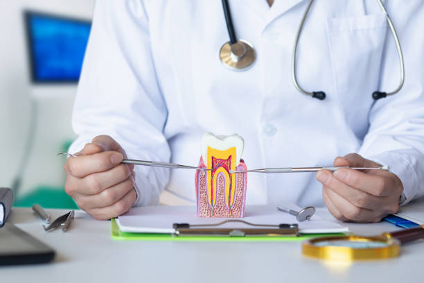 Best Emergency Dental Care for Broken or Chipped Teeth in Stanfield, NC